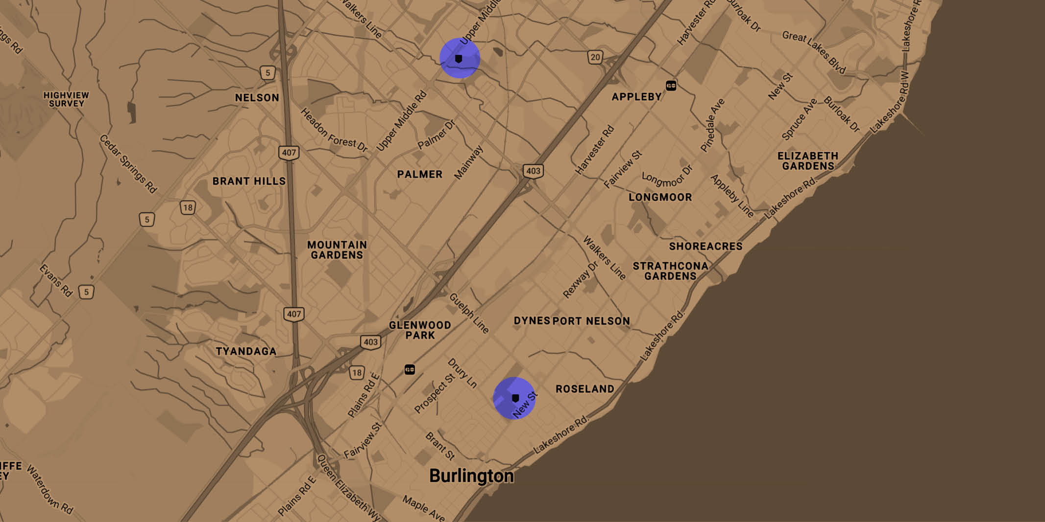 A Roadmap for Transition: Burlington Public Library
